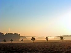 Nebel.jpg